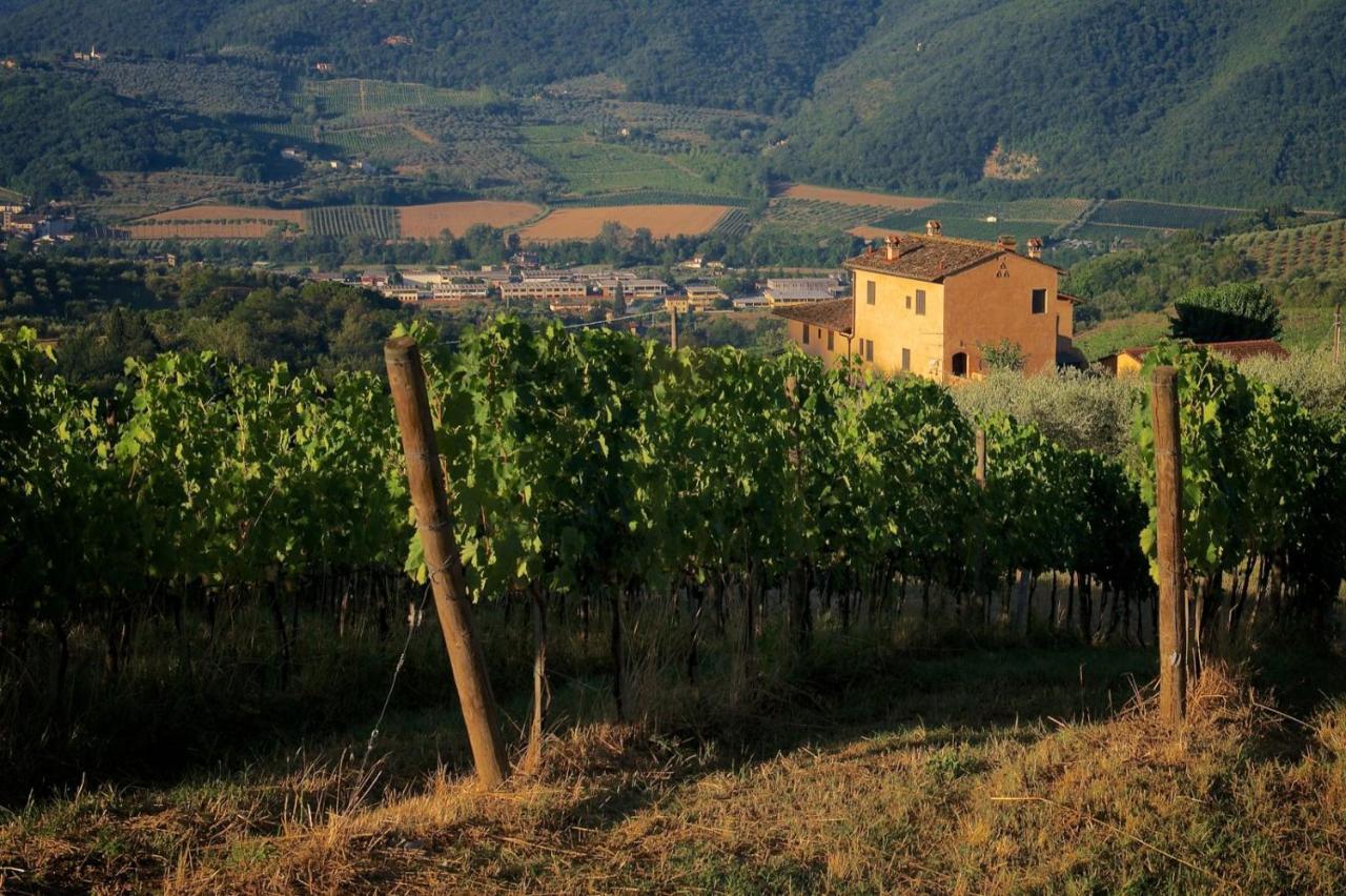 Agriturismo I Veroni Pontassieve Exterior foto